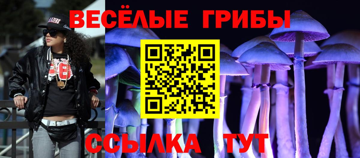 Псилоцибиновые грибы прущие грибы Пушкино